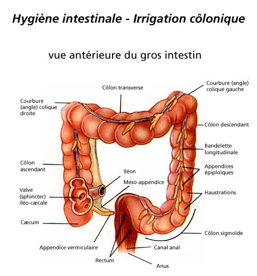 HYGIENE INTESTINALE - IRRIGATION COLONIQUE